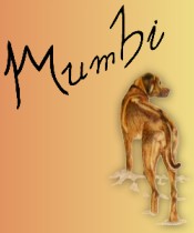 LOGO2