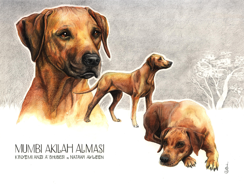 Akilah